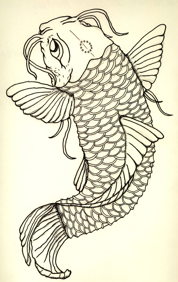 Koi Fish Tattoo Designs Drawings