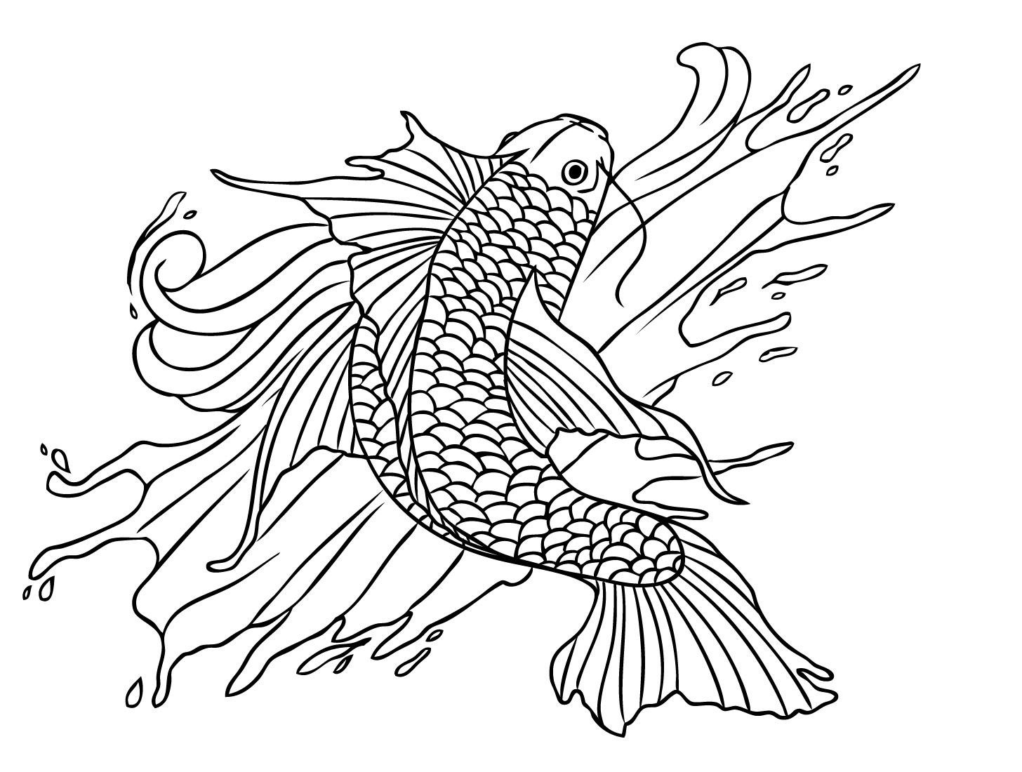 Koi Fish Tattoo Drawings