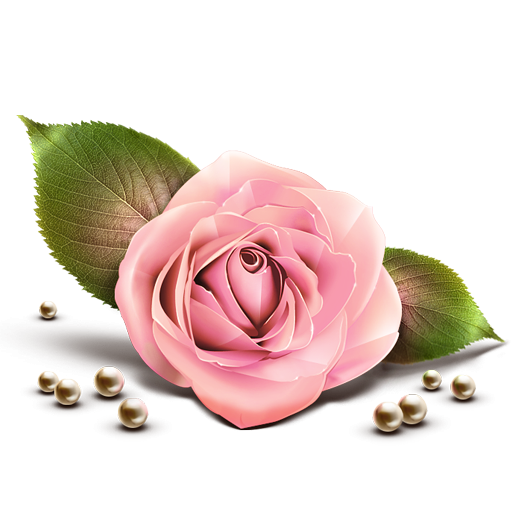 Pink Rose Clip Art