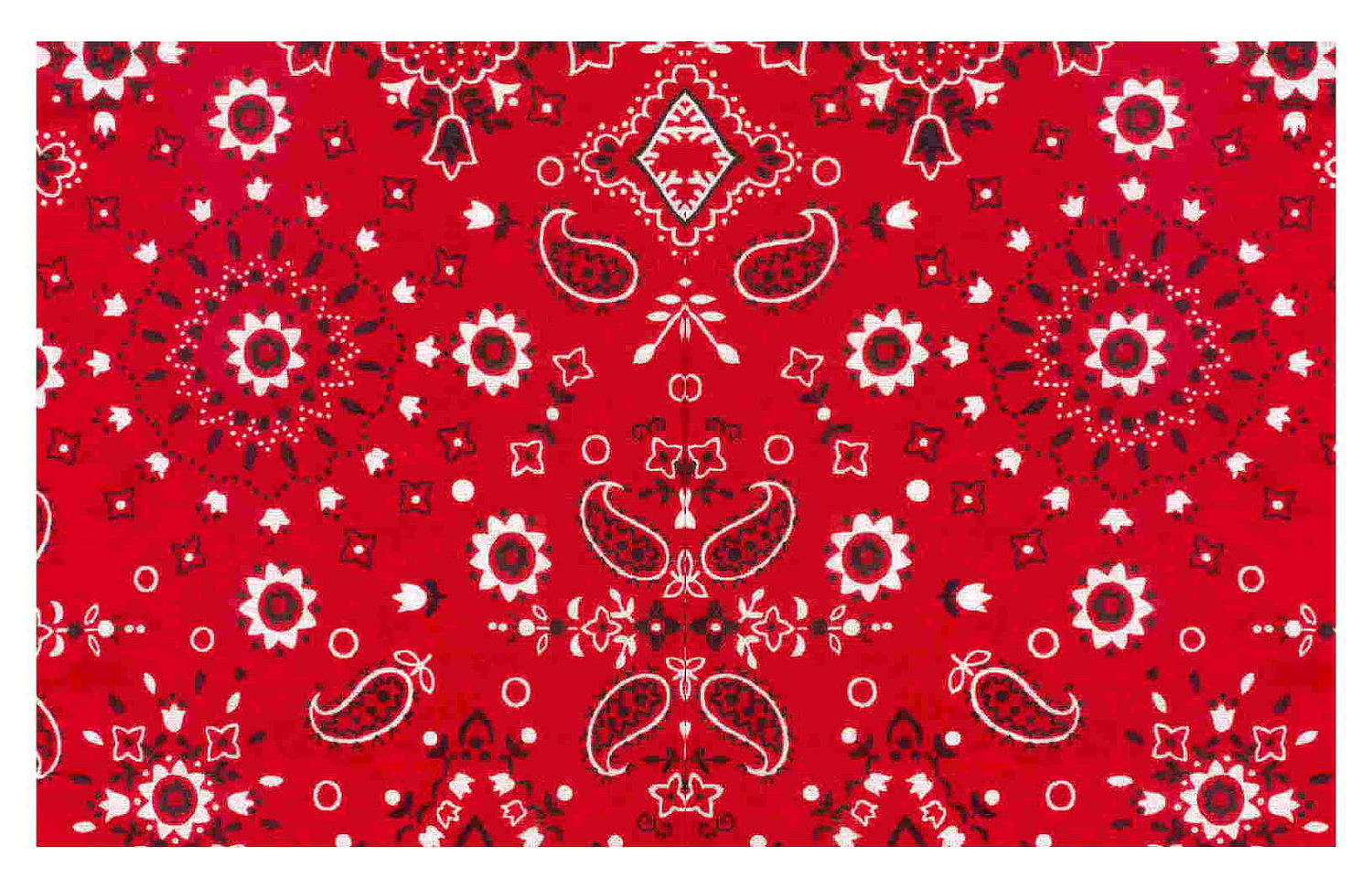 Red Bandana Pattern