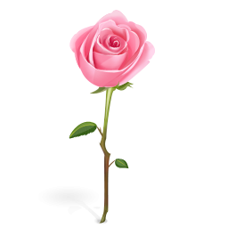 Single Pink Rose Clip Art