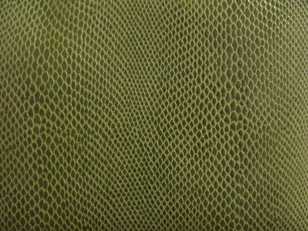 Snake Skin Texture Photoshop