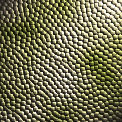 Snake Skin Texture Photoshop