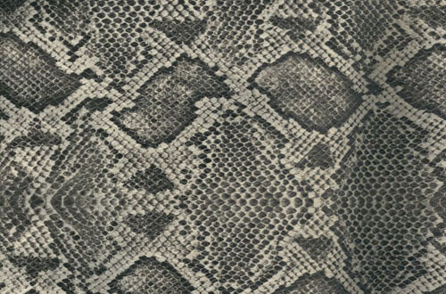 Snake Skin Texture Seamless