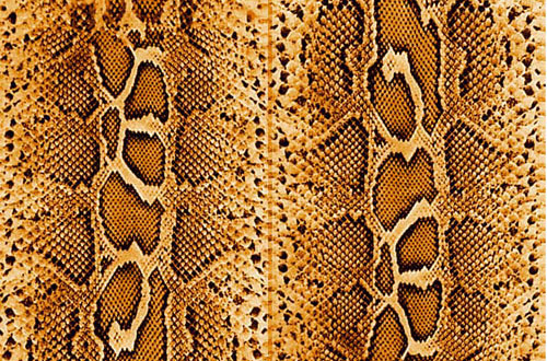 Snake Skin Texture Seamless