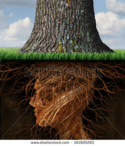 Tree Roots Underground