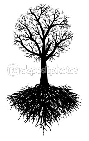 Tree Roots Vector