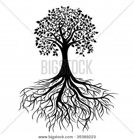 Tree with Roots Clip Art