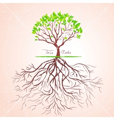 Tree with Roots Drawing Vector