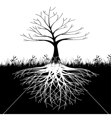 Tree with Roots Silhouette Vector