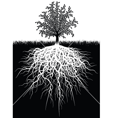Tree with Roots Underground