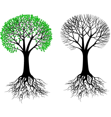 Tree with Roots Vector Free