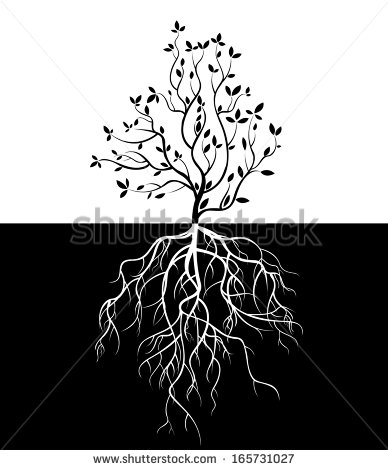 Tree with Roots Vector