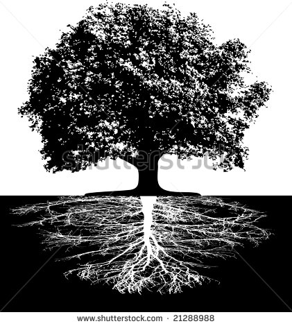 Tree with Roots Vector