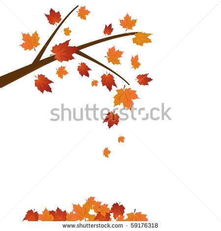 Vector Fall Autumn Maple Tree Leaf
