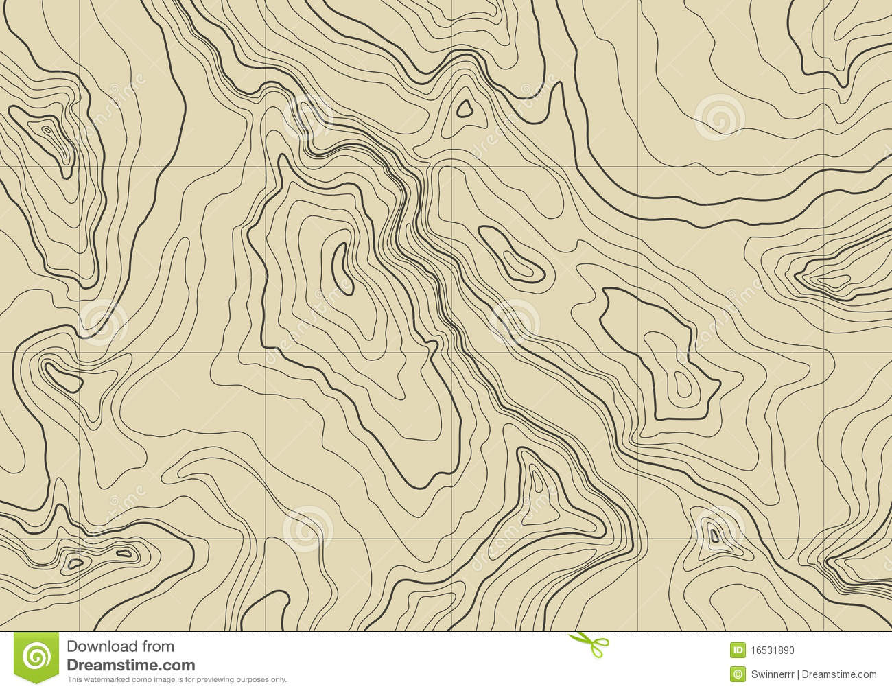 Vector Topographic Map