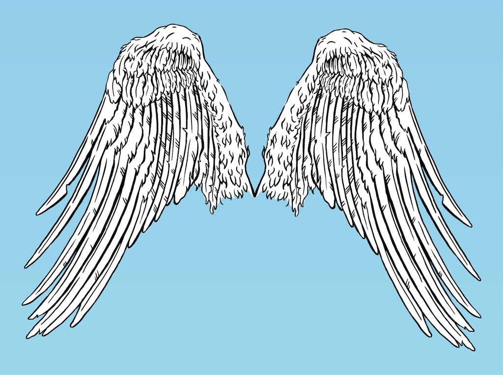 Angel Wings Vector Art