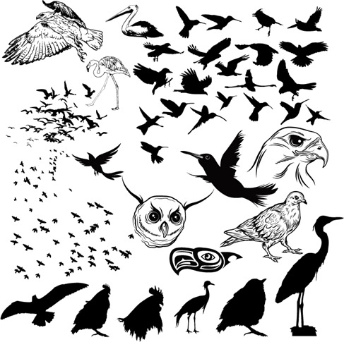 Birds Silhouettes Vector Free