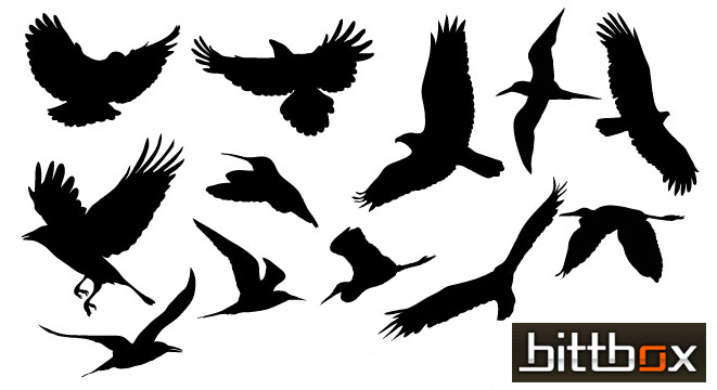 Birds Silhouettes Vector Free