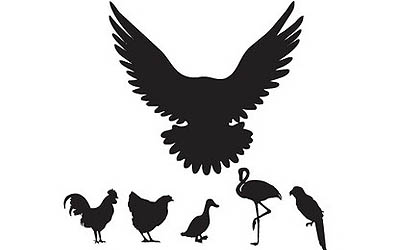 Birds Silhouettes Vector Free