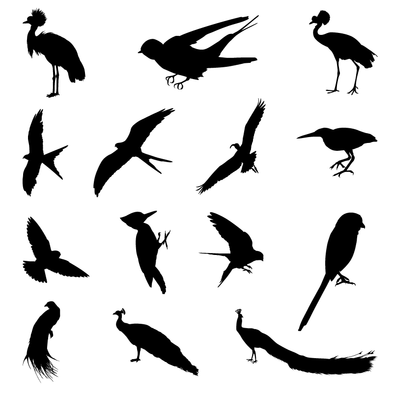 Birds Silhouettes Vector Free