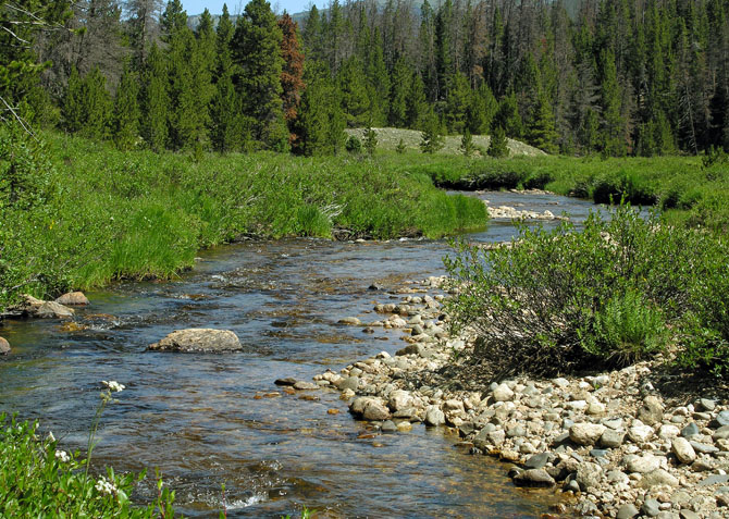 Cache La Poudre Wilderness Trails