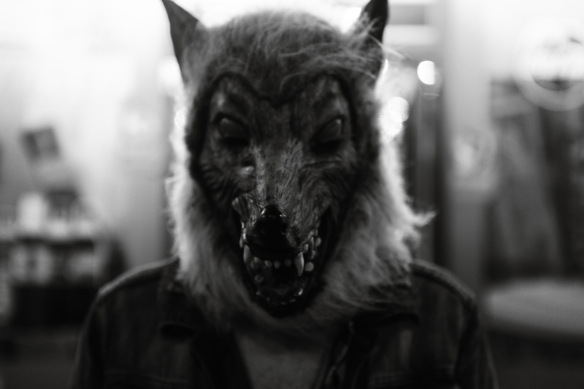 Creepy Black and White Wolf