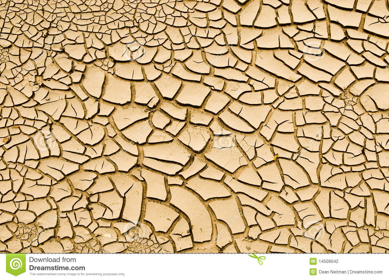 Dry Cracked Mud Texture