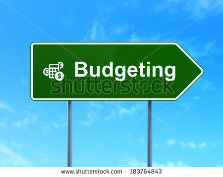 Financial Budget Icon
