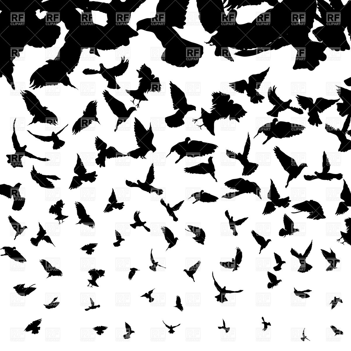 Flying Birds Silhouette Vector