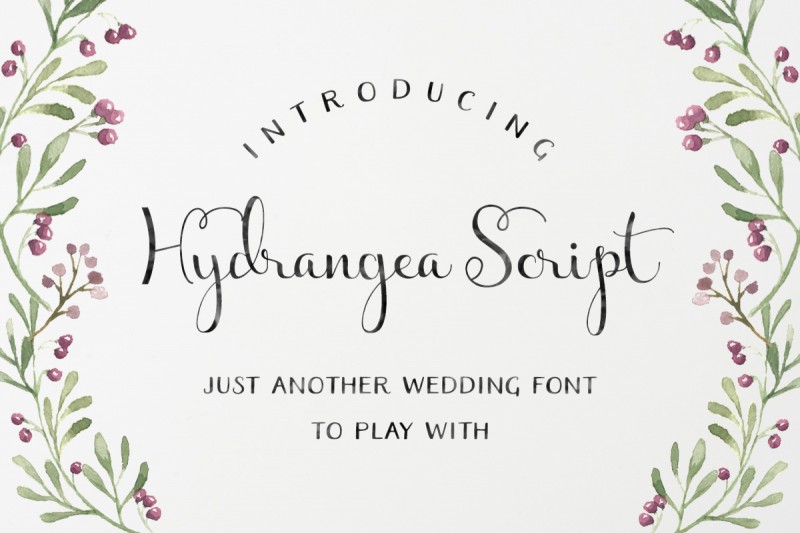 Free Calligraphy Wedding Fonts Free Calligraphy Wedding Fonts