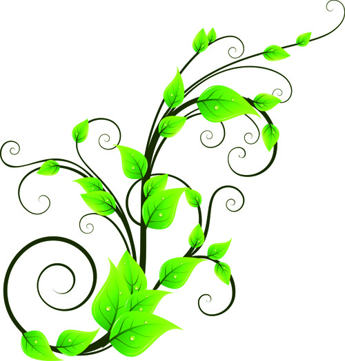 Free Green Vector Plants Free Green Vector Plants