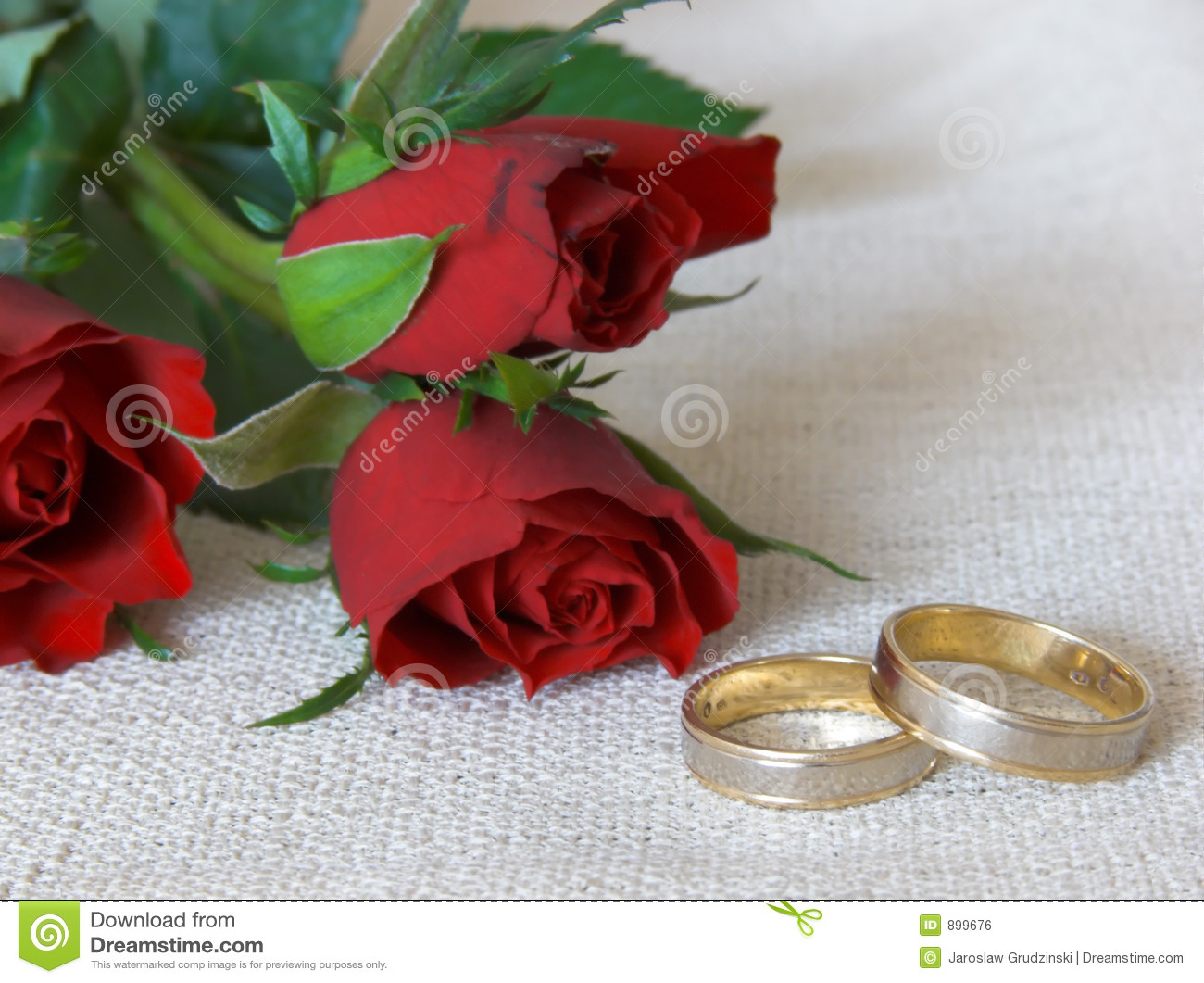 Free Images Roses and Wedding Rings