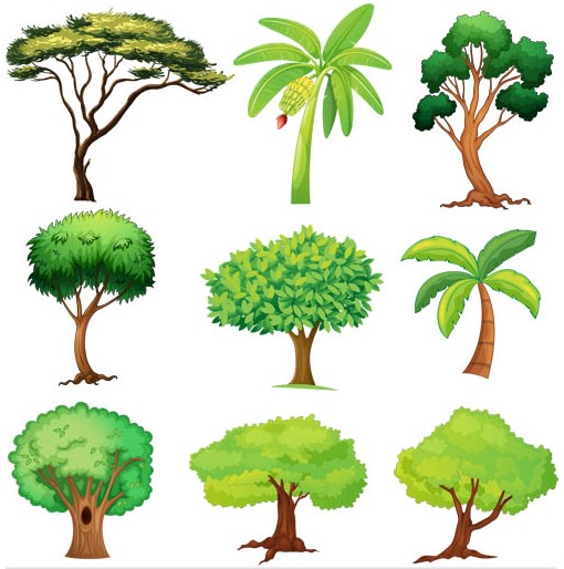 Free Tree Vector Graphics