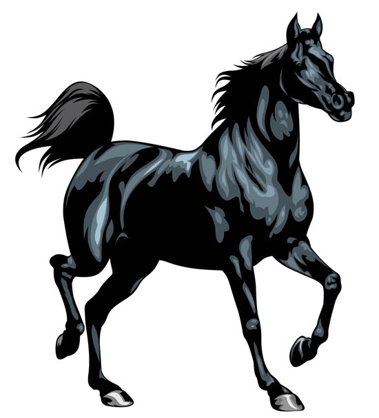 Free Vector Horses