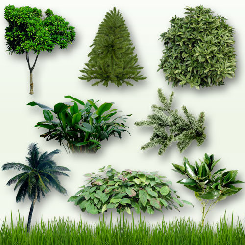 Grass Bushes and Trees Clip Art