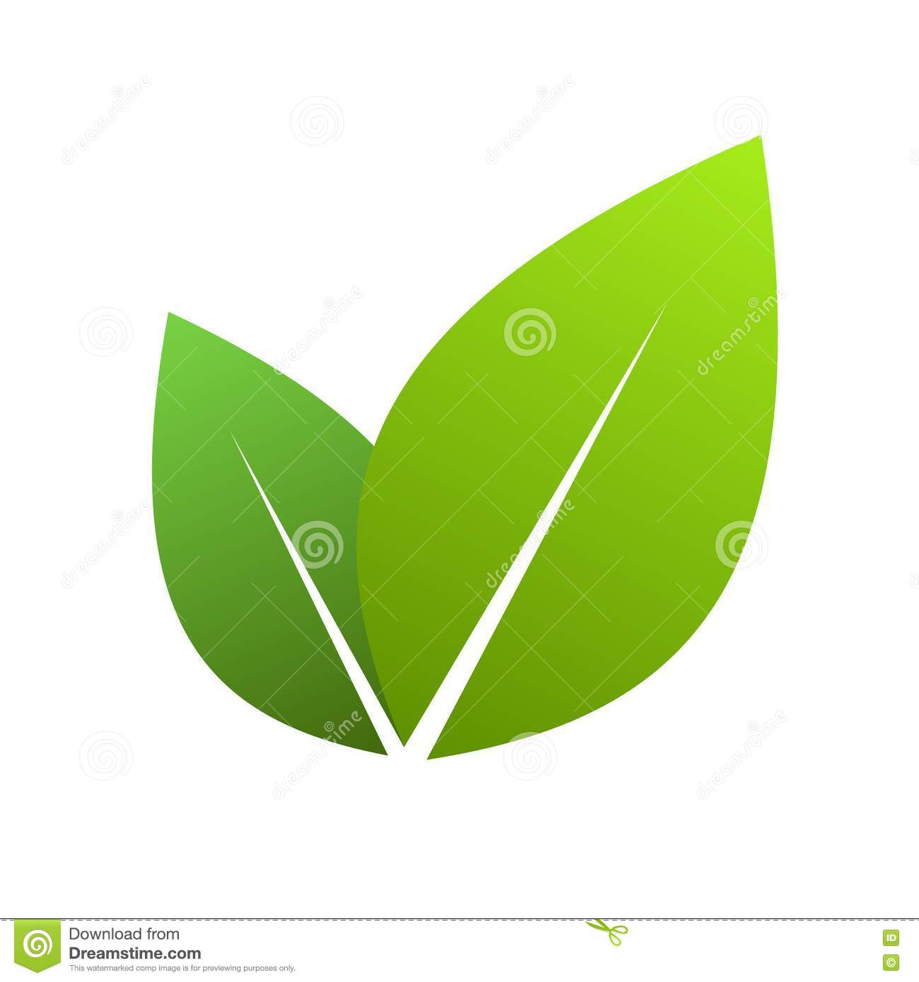 Green Tea Leaf Vector