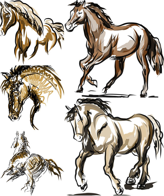 Horse Vector Art Horse Vector Art