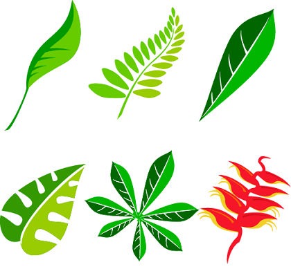 15 Leaf Vector Clip Art Images