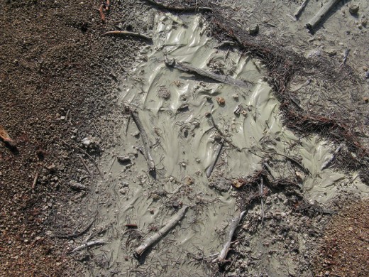Mud Splatter Texture