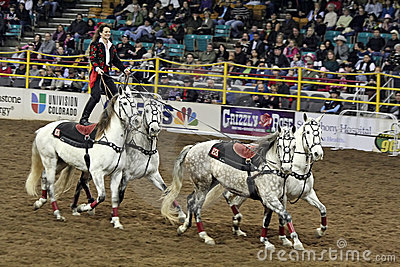 National Western Stock Show Denver