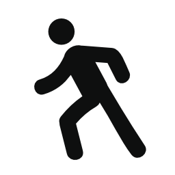 Person Walking Icon