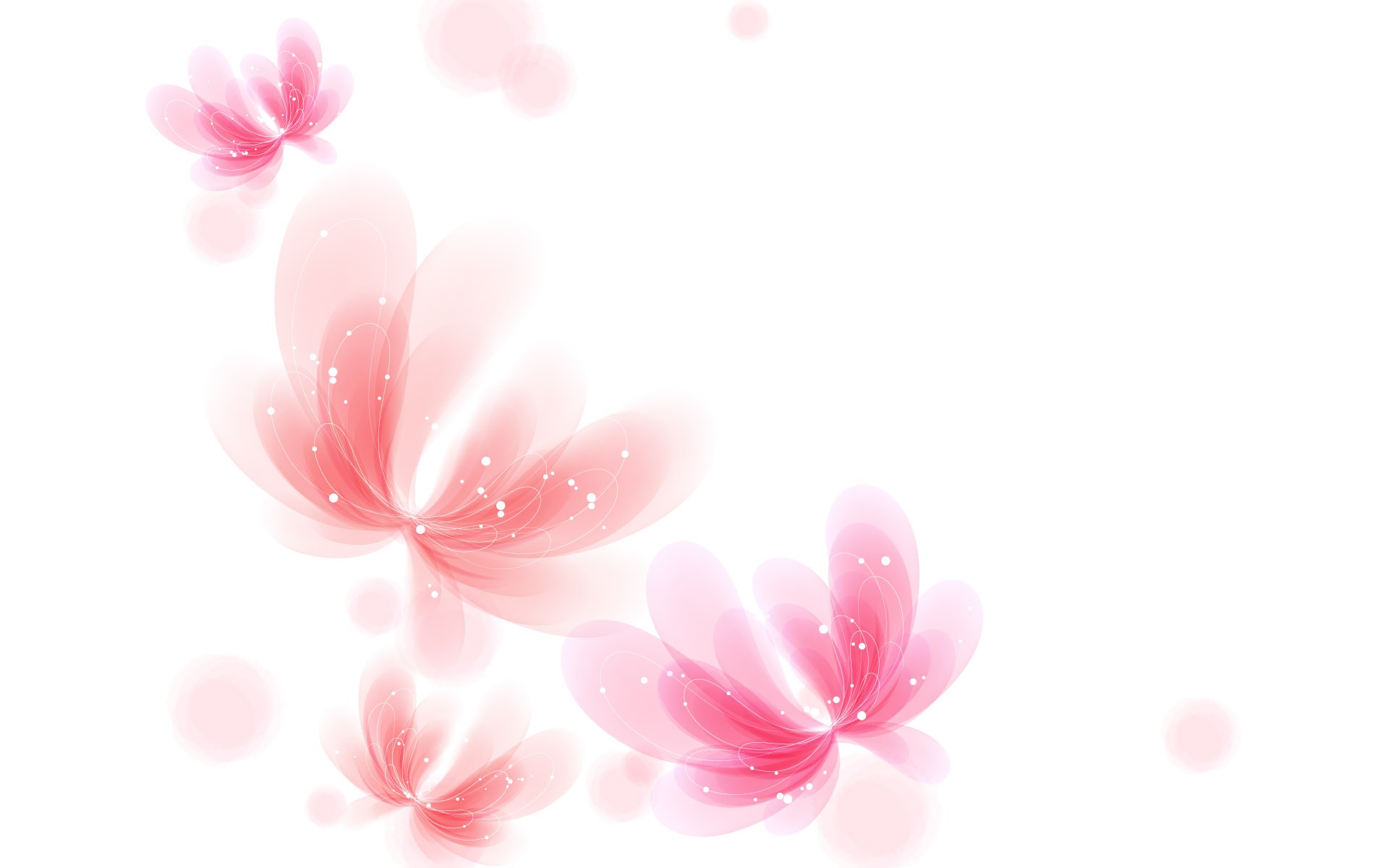 Pink and White Flower Wallpaper