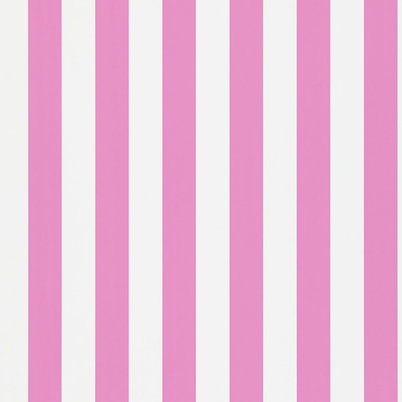 Pink and White Stripes Pink and White Stripes