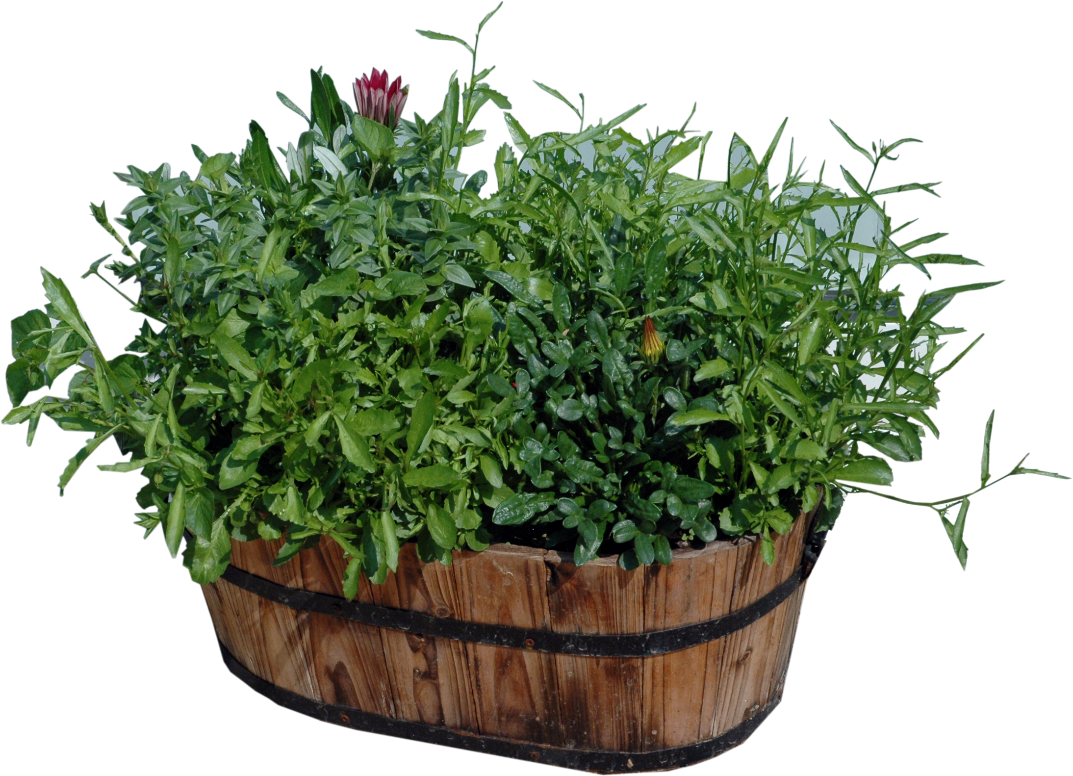 Plant Pot Cut Out Plant Pot Cut Out