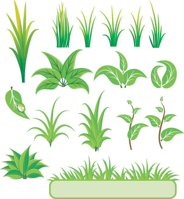 Plants and Grass Vector