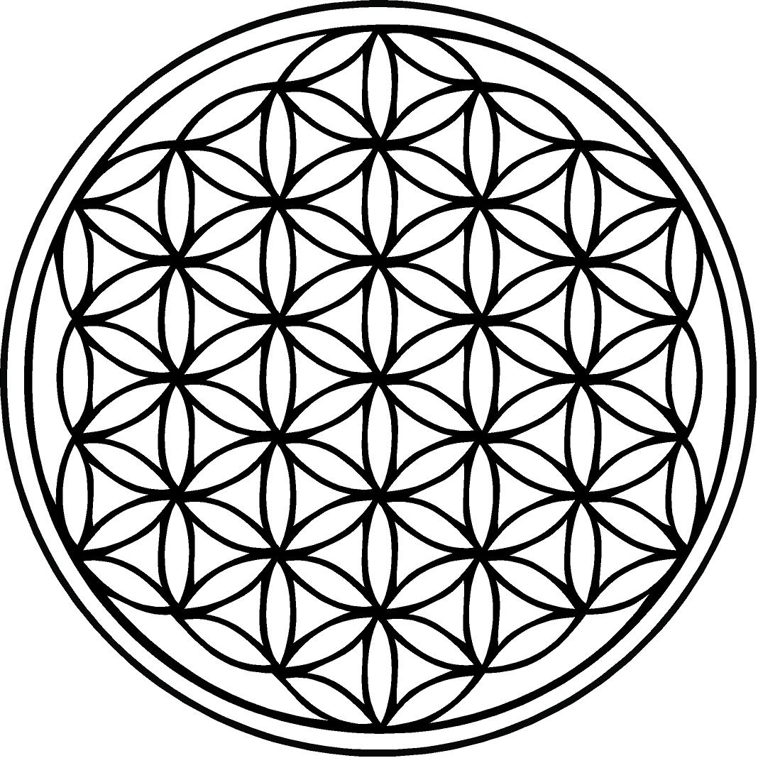 Sacred Geometry Flower of Life Symbol