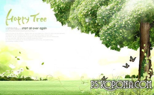Source Trees Source Trees