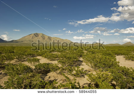 Texas Landscape Photography