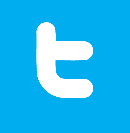 Twitter Bird Logo Square